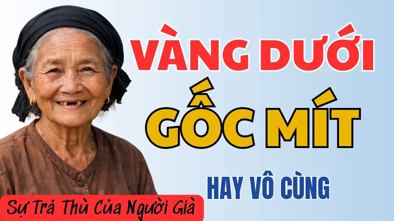 Con Dâu Xúi Chồng Đuổi Mẹ Già, Đọc Nhật Ký 30 Năm Mới Biết Bà Từ Chối Lấy Chồng Giàu