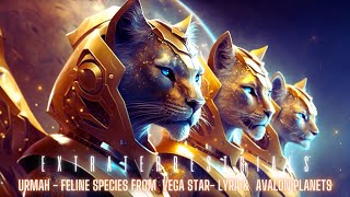“Meet the Urmah: The Fierce and Spiritual Extraterrestrial Cat Warriors\