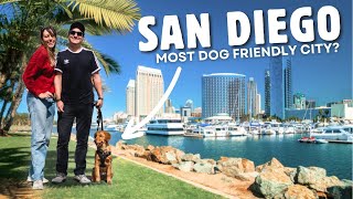 A PERFECT WEEKEND IN SAN DIEGO - Things To Do, See, & Eat (Dog friendly!)