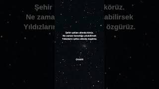 Özgürüz
