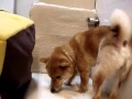 なんとなくね~