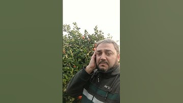 أواخر سورة الكهف