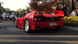 Ferrari f50 4.7l v12 514hp @ 8500 347 torque 6500 0-60mph in 3.7
seconds top speed 201mph curb weight„: „3,080 lb (1,400 kg)
production„: „1995–1997 design...