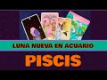 🌙 Luna Nueva en Acuario: PISCIS