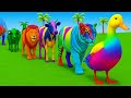 Long Slide Game With Elephant Gorilla Buffalo Hippopotamus Tiger - 3d Animal Game - Funny 3d Animals