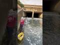 Fish snagging sa harapan ng dam na napakaraming isda #viralvideo #fishing #shorts #trending #amazing