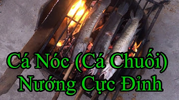 Cách nướng cá chuối ngon không bị mất nước rất đơn giản