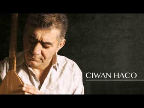 جوان حاجو ولاته من