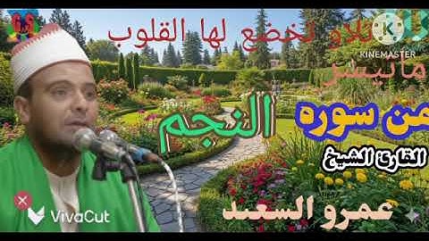 الشيخ عمرو السعيد ماتيسر من سوره النجم والقمر 