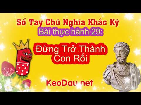 Video Thực Hành Khắc Kỷ 29: Đừng Trở Thành Con Rối - youtube