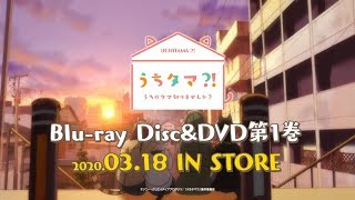 TVアニメ「うちタマ⁈ ～うちのタマ知りませんか？～」｜Blu-ray＆DVD第1巻 2020.3.18 発売！