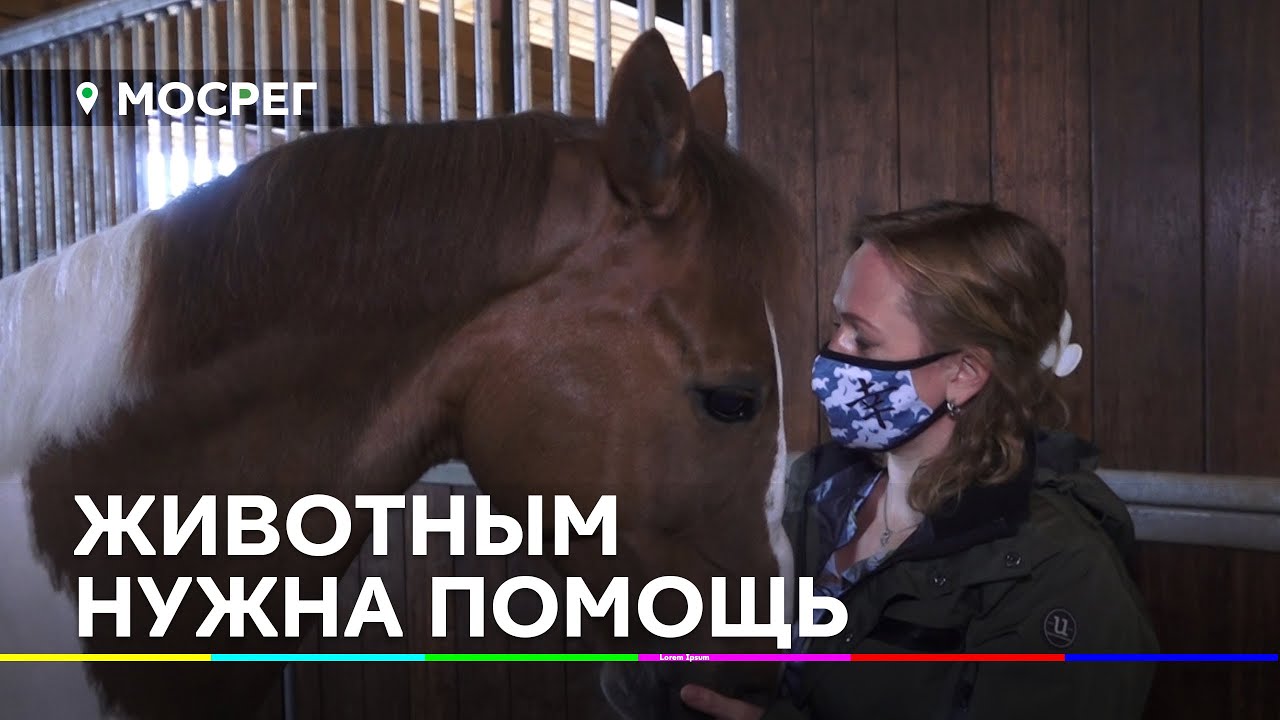 НОВОСТИ ИСТРА 360° 02.06.2020//ЖИВОТНЫМ НУЖНА ПОМОЩЬ