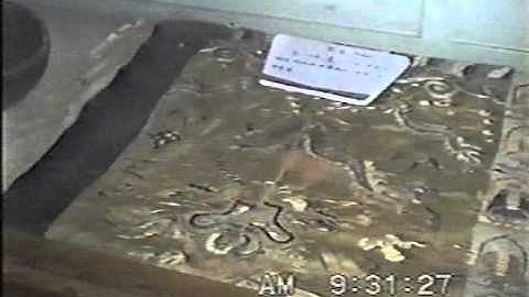 Nhục thân bất hoại của Huệ Năng, Hám Sơn và Đơn Điền tại chùa Nam Hoa