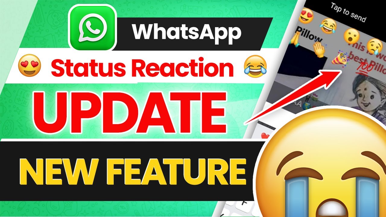 How to React on WhatsApp Status? WhatsApp Status Reaction Update 2022 ...