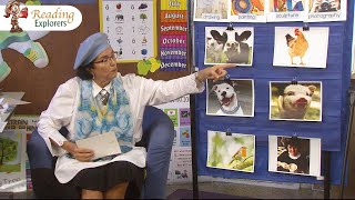 Transitional Kindergarten Episode 213