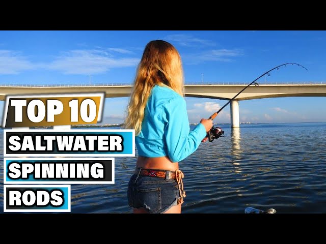 Top 10 Best Saltwater Spinning Rod On  