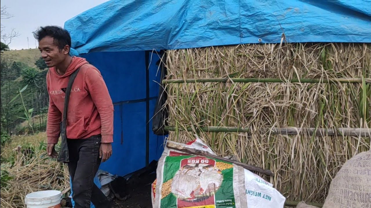 Buh kan seng ta e || Lo thlir veng veng mai rawh lee