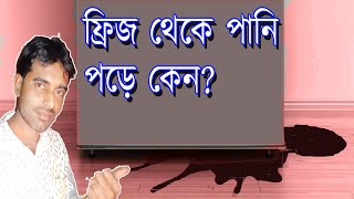 refrigerator water leakage problem. ফ্রিজ থেকে পানি কেন পড়ে। ফ্রিজের সমস্যা ও সমাধান।