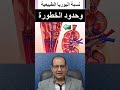 متى تعتبر نسبة اليوريا في الدم مرتفعة بشكل خطير الهشاب2000 ناتوريا نصائح طبية صحة صحة الكلي 
