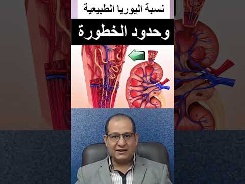 متى تعتبر نسبة اليوريا في الدم مرتفعة بشكل خطير الهشاب2000 ناتوريا نصائح طبية صحة صحة الكلي