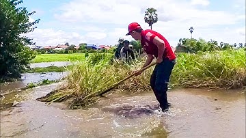 Activity Remove Floating Plants Clogged Massive Dam Drain Water For Traffic