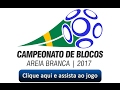 Show de Bola - Campeonato de Blocos 2017 - É diferente X Os caixas