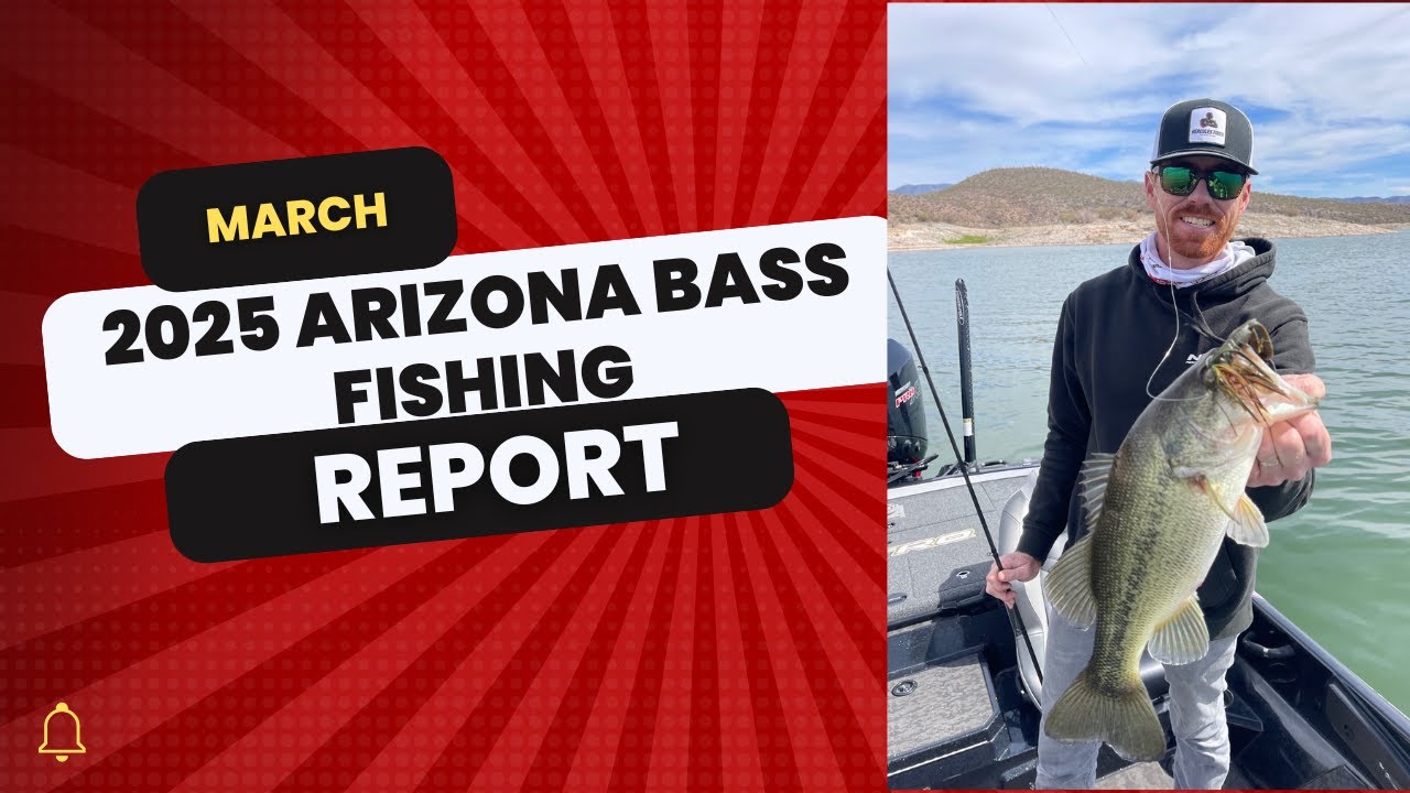March 2025 Arizona Spring Bass Fishing Report