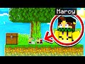 HO GIOCATO UNA SKYBLOCK GIGANTE con i MIEI AMICI su MINECRAFT
