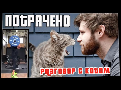 Видео: Потрачено. Разговор с котом. Лучшие приколы, смешные видео и фейлы