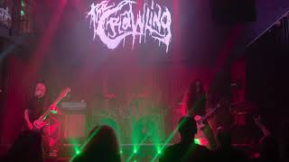 The Crawling - The Right To Crawl  Live at Opium