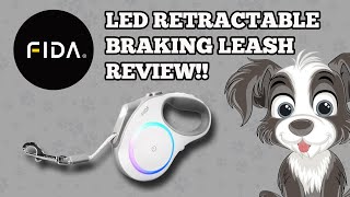 Is The Fida Retractable Lighted Dog Leash A Must-have For Your Pet? Decide In This Review!