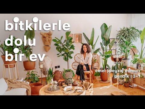 Emel'in 100'den Fazla Bitkiyle Yaşadığı 3+1 Evi