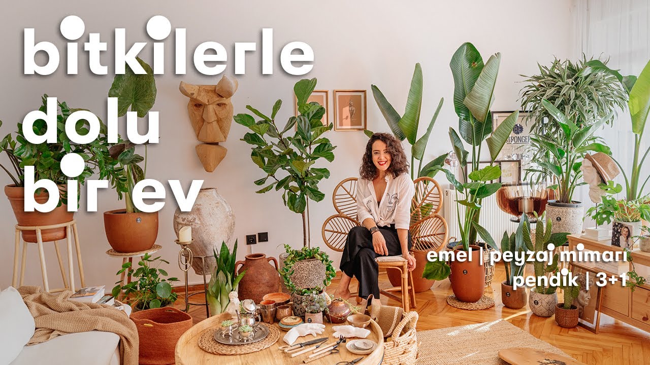 67  palabra clave  Mejor HD 67  palabra clave  Mejor HD