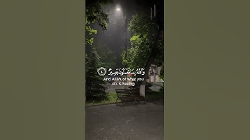 القارئ شريف مصطفى | سورة الحديد #قرآن #ارح_قلبك #لايك #قران_كريم #اكسبلور