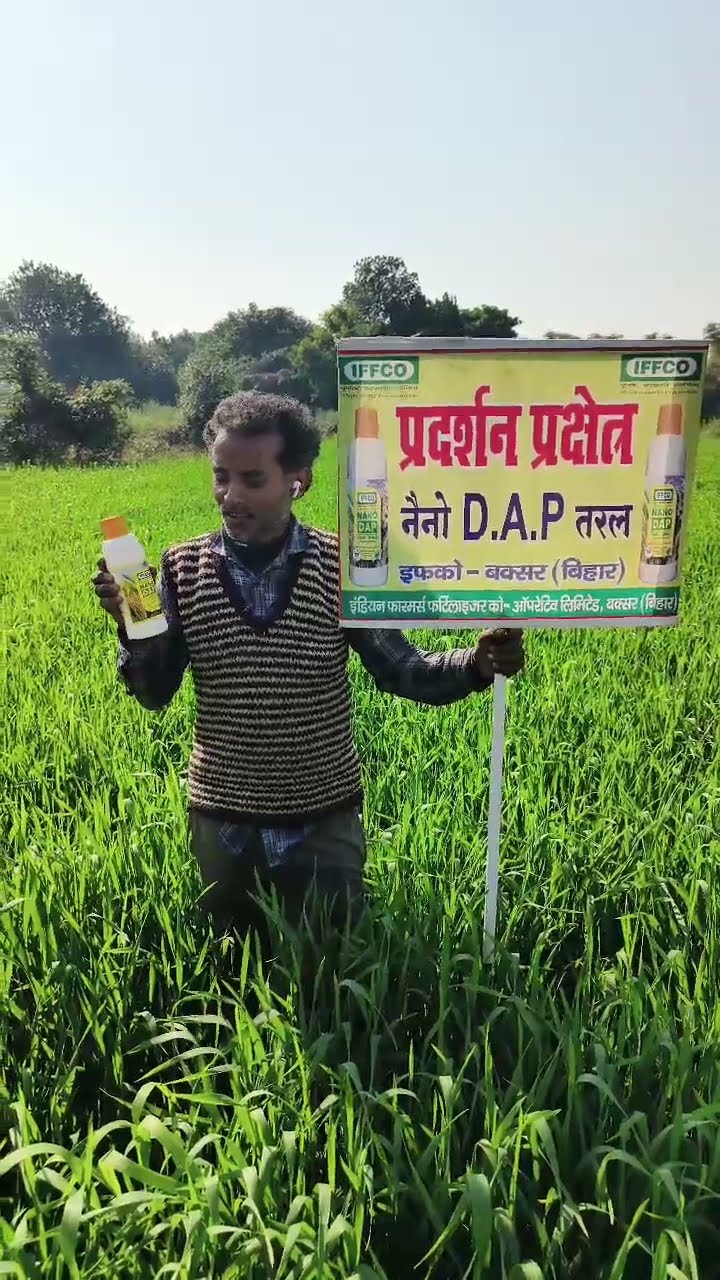 बक्सर के किसान ने गेहूं की उत्तम खेती का बताया कैसा तरीका | वनइंडिया हिंदी