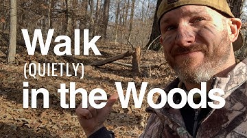 3 Ways to Walk QUIETLY in the Leafy Woods (like a pro hunter!)