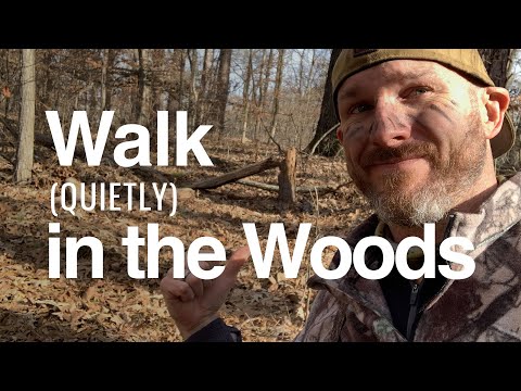 Video: 3 Ways to Walk Silently