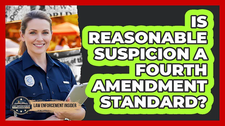 Is Reasonable Suspicion a Fourth Amendment Standard?