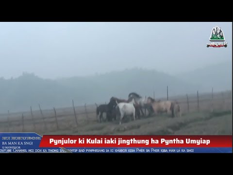 Pynjulor Ki Kulai Iaki Jingthung Ha Pyntha Umyiap