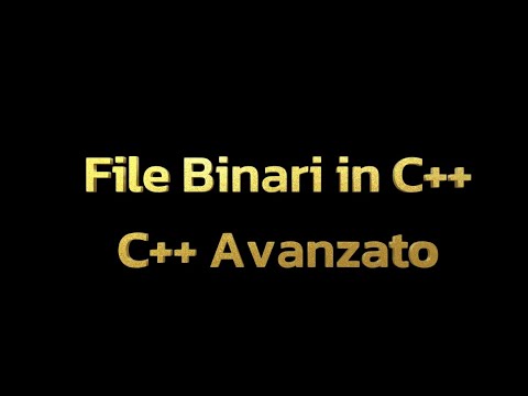 I files binari in C++ -  2