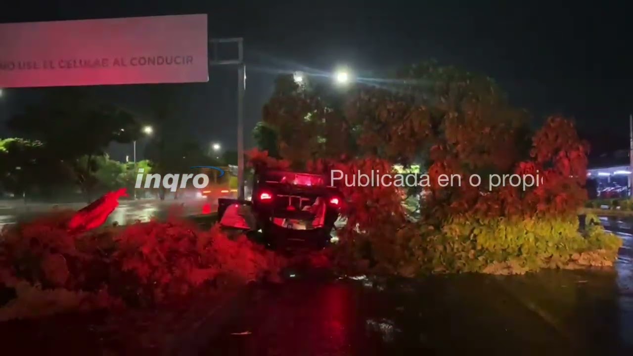 Pierde el control, sale del camino y fall3ce al chocar contra un árbol