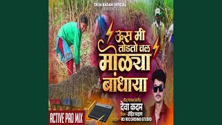 Us Mi Todato Chal Molya Bandhayla Us Mi Todato Chal Molya Bandhayla