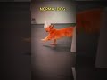 Broooo flash dog 🐕🐕😱😎😱😱😱😱😏🤐
