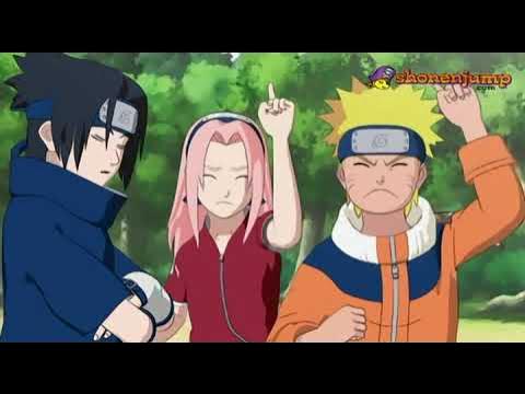 Naruto: Šippúden (2007), Epizody