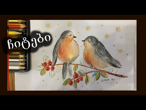 როგორ დავხატოთ ჩიტები/როგორ დავხატოთ ფრინველები/წითელგულა ჩიტების ხატვა