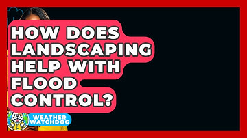 How Does Landscaping Help With Flood Control? - Weather Watchdog