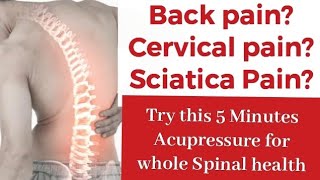 How To Release Back Pain Naturally- Acupressure For All Kind Of Back Pain- Sciatica Or Cervical Pain