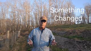 Change At The Homestead - I'll Never Do This Again! #electroculture #plantsurge #bigfoot