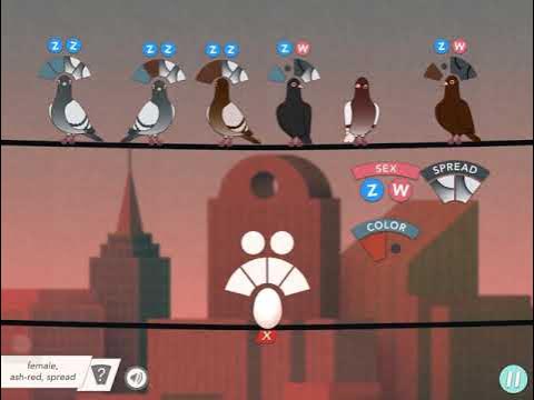 Pigeonetics Walkthrough Levels 16-20 - YouTube