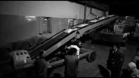 Truck Loading Unloading Cum Stacker Conveyor 50kg Wheat Bag